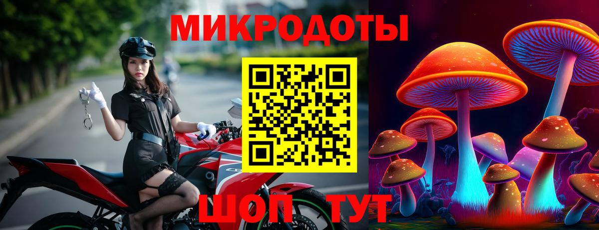 Галлюциногенные грибы мухоморы Черняховск