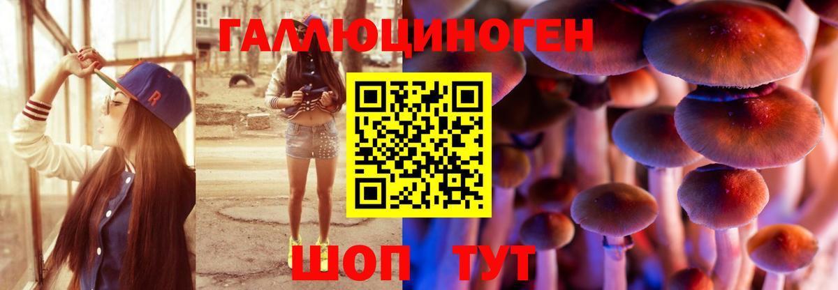 Псилоцибиновые грибы MAGIC MUSHROOMS  Галлюциногенные грибы прущие грибы  Вход с VPN  Черняховск 